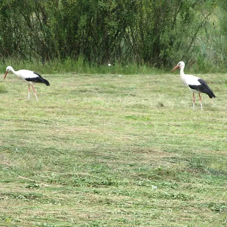 Farmház Gaj Borowe